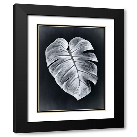 Verdure I Midnight Black Modern Wood Framed Art Print with Double Matting by Urban Road