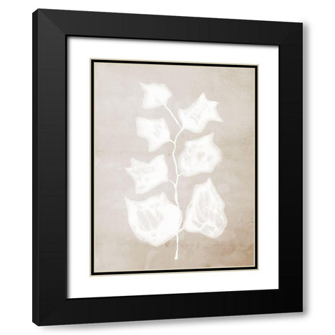 Paper Bark II  Black Modern Wood Framed Art Print with Double Matting by Urban Road