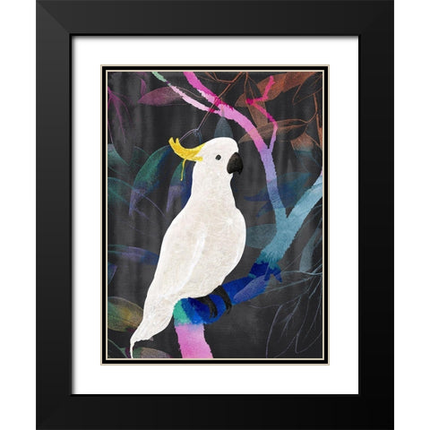 Rainbow Cockatoo Black Modern Wood Framed Art Print with Double Matting by Urban Road