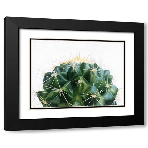 Cacti Black Modern Wood Framed Art Print with Double Matting by Urban Road