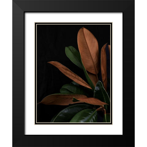 New Leaf  Black Modern Wood Framed Art Print with Double Matting by Urban Road