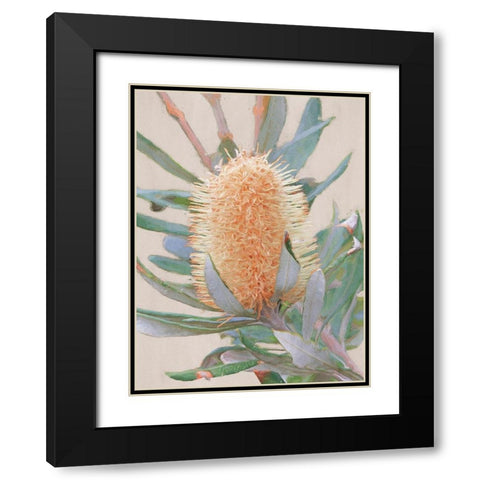 Golden Banksia Art Print Black Modern Wood Framed Art Print with Double Matting by Urban Road