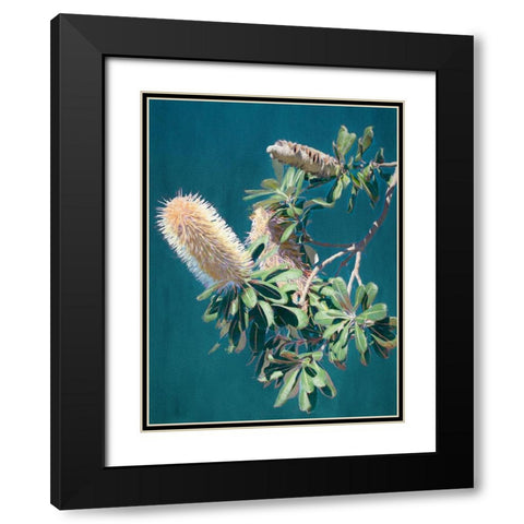 Twilight Banksia Art Print Black Modern Wood Framed Art Print with Double Matting by Urban Road