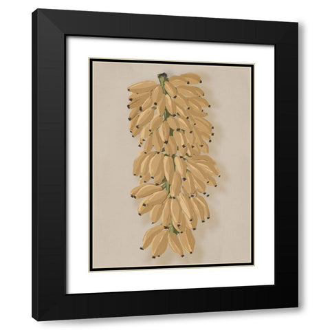 Platano I Clay Black Modern Wood Framed Art Print with Double Matting by Urban Road