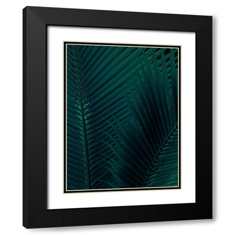Shade I Black Modern Wood Framed Art Print with Double Matting by Urban Road