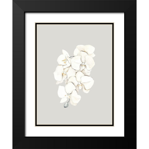 Beige Lilies Poster Black Modern Wood Framed Art Print with Double Matting by Urban Road