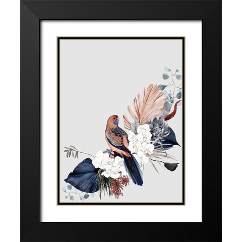 Blushing Rosella Poster Black Modern Wood Framed Art Print with Double Matting by Urban Road