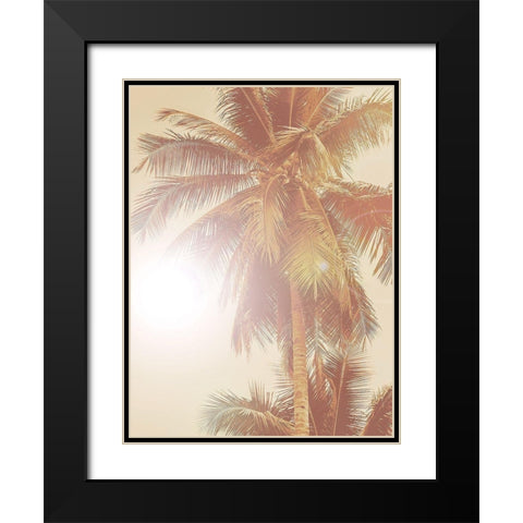 Sunkissed Palm Poster Black Modern Wood Framed Art Print with Double Matting by Urban Road