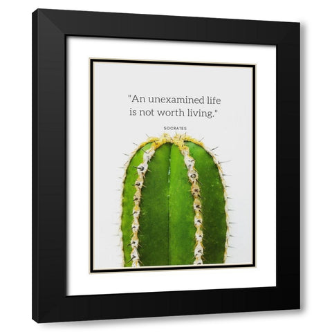 Socrates Quote: Unexamined Life Black Modern Wood Framed Art Print with Double Matting by ArtsyQuotes