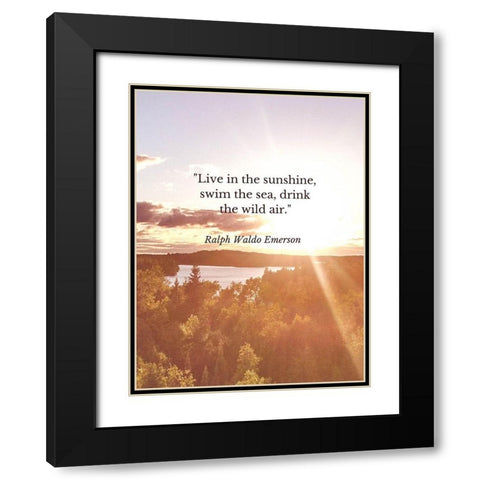 Ralph Waldo Emerson Quote: Swim the Sea Black Modern Wood Framed Art Print with Double Matting by ArtsyQuotes