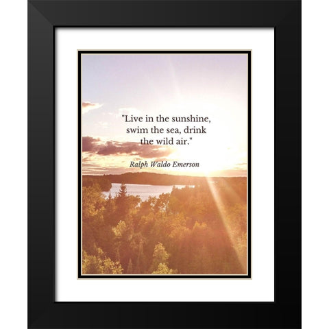 Ralph Waldo Emerson Quote: Swim the Sea Black Modern Wood Framed Art Print with Double Matting by ArtsyQuotes