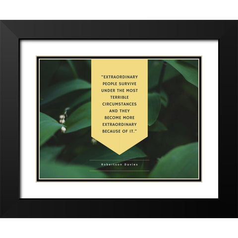 Robertson Davies Quote: Extraordinary People Black Modern Wood Framed Art Print with Double Matting by ArtsyQuotes