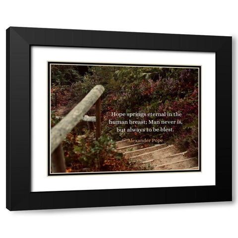 Alexander Pope Quote: Hope Springs Eternal Black Modern Wood Framed Art Print with Double Matting by ArtsyQuotes