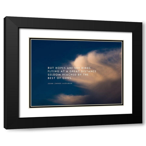 John James Audubon Quote: Shy Birds Flying Black Modern Wood Framed Art Print with Double Matting by ArtsyQuotes