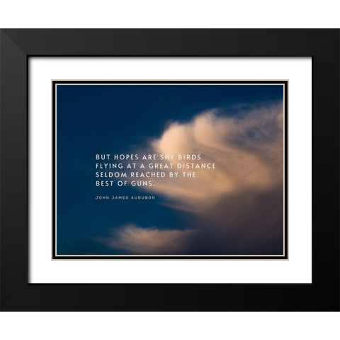 John James Audubon Quote: Shy Birds Flying Black Modern Wood Framed Art Print with Double Matting by ArtsyQuotes