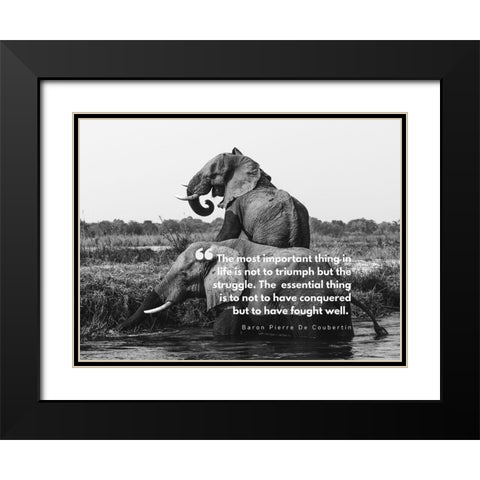 Baron Pierre De Coubertin Quote: Life is Not to Triumph Black Modern Wood Framed Art Print with Double Matting by ArtsyQuotes