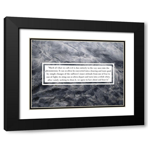 William James Quote: Phenomenon Black Modern Wood Framed Art Print with Double Matting by ArtsyQuotes