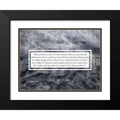 William James Quote: Phenomenon Black Modern Wood Framed Art Print with Double Matting by ArtsyQuotes