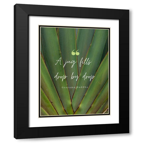 Gautama Buddha Quote: Drop by Drop Black Modern Wood Framed Art Print with Double Matting by ArtsyQuotes