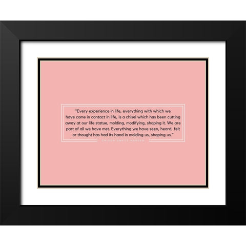 Orison Swett Marden Quote: Experience in Life Black Modern Wood Framed Art Print with Double Matting by ArtsyQuotes