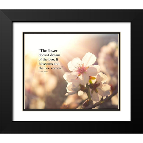 Mark Nepo Quote: Blossoms Black Modern Wood Framed Art Print with Double Matting by ArtsyQuotes