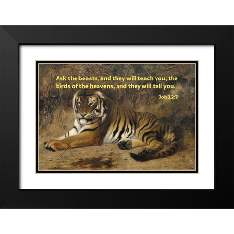 Bible Verse Quote Job 12:7, Jean-Leon Gerome - Tiger II Black Modern Wood Framed Art Print with Double Matting by ArtsyQuotes