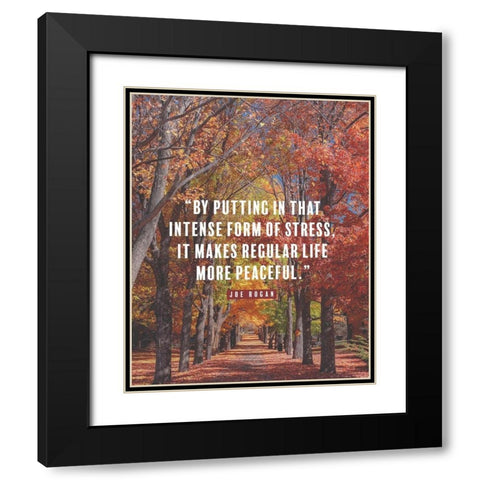 Joe Rogan Quote: Regular Life Black Modern Wood Framed Art Print with Double Matting by ArtsyQuotes