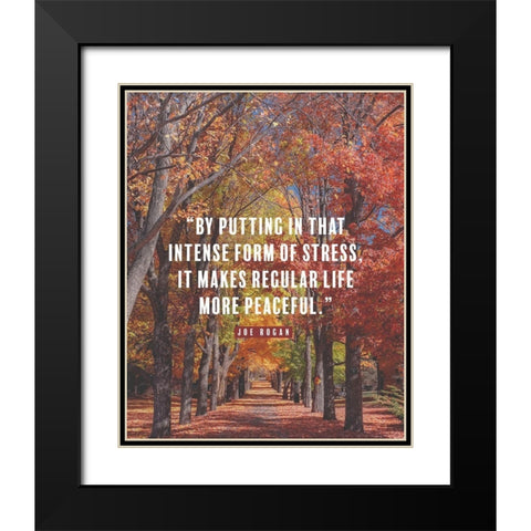 Joe Rogan Quote: Regular Life Black Modern Wood Framed Art Print with Double Matting by ArtsyQuotes