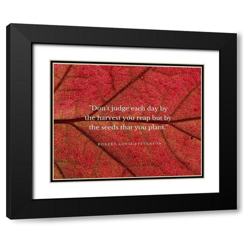 Robert Louis Stevenson Quote: Dont Judge Each Day Black Modern Wood Framed Art Print with Double Matting by ArtsyQuotes