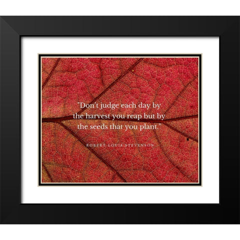 Robert Louis Stevenson Quote: Dont Judge Each Day Black Modern Wood Framed Art Print with Double Matting by ArtsyQuotes