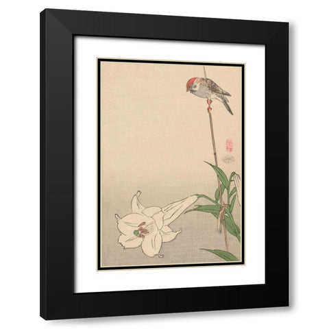 Small bird on lily plant., 1893 Black Modern Wood Framed Art Print with Double Matting by Baison