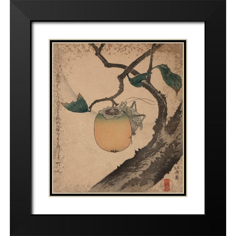 Grasshopper eating persimmon, 1850 Black Modern Wood Framed Art Print with Double Matting by Hokusai