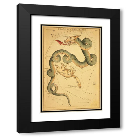Draco and Ursa Minor, 1825 Black Modern Wood Framed Art Print with Double Matting by Aspin, Jehoshaphat