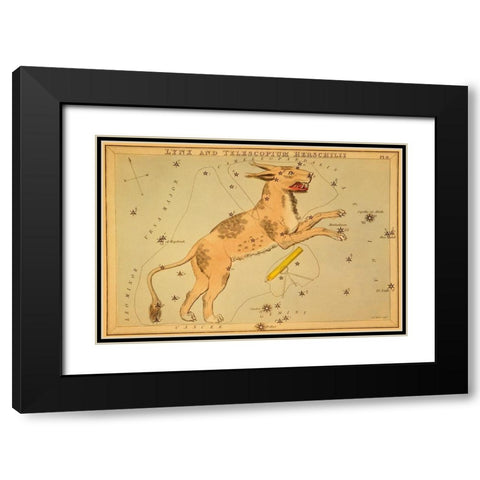 Lynx and Telescopium Herschilii, 1825 Black Modern Wood Framed Art Print with Double Matting by Aspin, Jehoshaphat