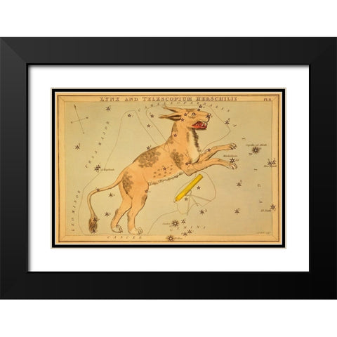 Lynx and Telescopium Herschilii, 1825 Black Modern Wood Framed Art Print with Double Matting by Aspin, Jehoshaphat