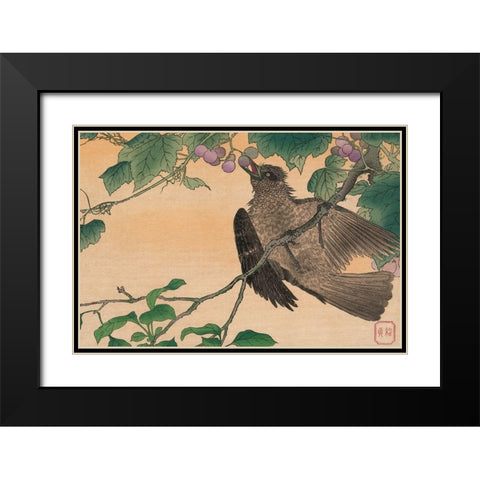Bird Eating a Grape Black Modern Wood Framed Art Print with Double Matting by Kesai, Kuwagata