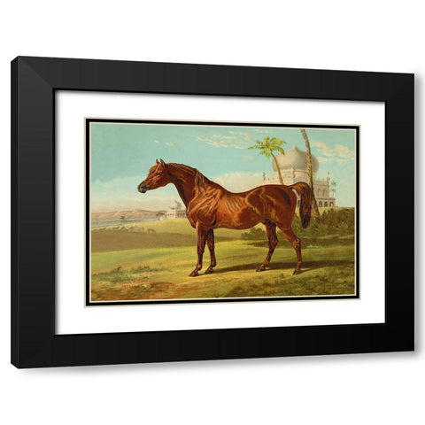 Goldie Arab, 1900 Black Modern Wood Framed Art Print with Double Matting by Sidney, Samuel