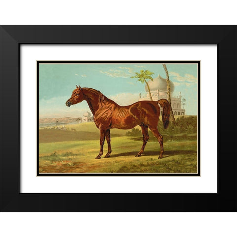 Goldie Arab, 1900 Black Modern Wood Framed Art Print with Double Matting by Sidney, Samuel