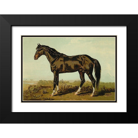 Dongola Horse, 1900 Black Modern Wood Framed Art Print with Double Matting by Sidney, Samuel