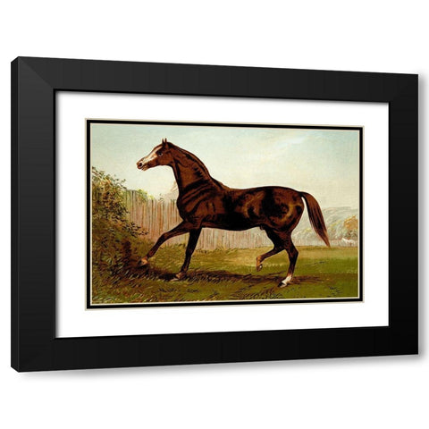 Blair Athol, 1900 Black Modern Wood Framed Art Print with Double Matting by Sidney, Samuel