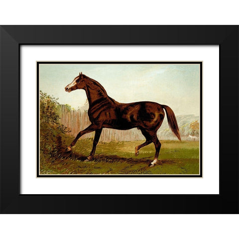 Blair Athol, 1900 Black Modern Wood Framed Art Print with Double Matting by Sidney, Samuel