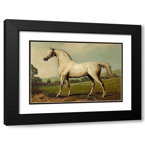 Mambrino, 1900 Black Modern Wood Framed Art Print with Double Matting by Sidney, Samuel
