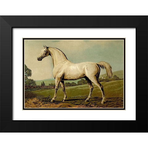 Mambrino, 1900 Black Modern Wood Framed Art Print with Double Matting by Sidney, Samuel
