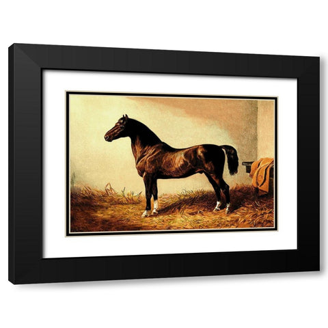 Don Carlos, 1900 Black Modern Wood Framed Art Print with Double Matting by Sidney, Samuel