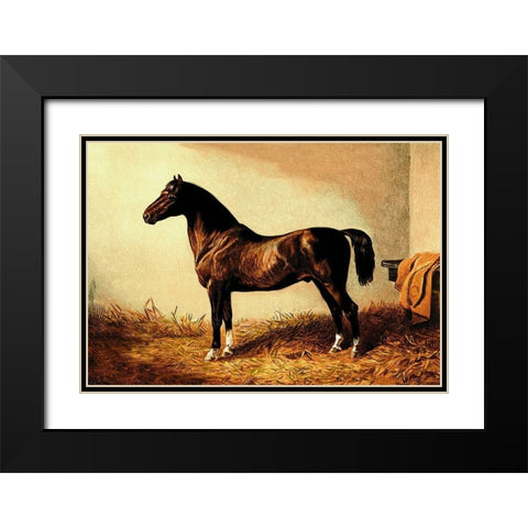 Don Carlos, 1900 Black Modern Wood Framed Art Print with Double Matting by Sidney, Samuel