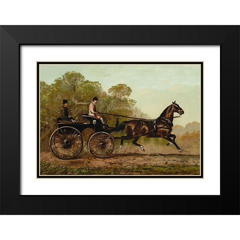 Columbine, 1900 Black Modern Wood Framed Art Print with Double Matting by Sidney, Samuel