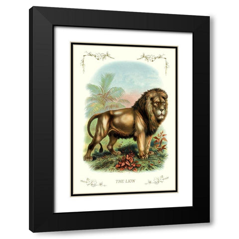 The Lion, 1900 Black Modern Wood Framed Art Print with Double Matting by Unknown