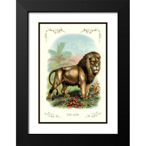 The Lion, 1900 Black Modern Wood Framed Art Print with Double Matting by Unknown