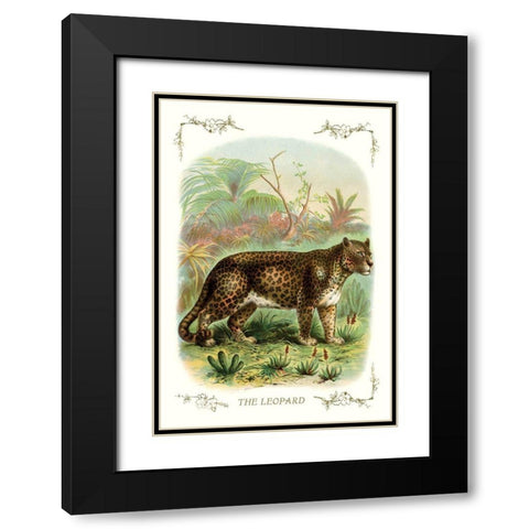 The Leopard, 1900 Black Modern Wood Framed Art Print with Double Matting by Unknown