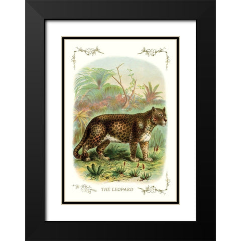 The Leopard, 1900 Black Modern Wood Framed Art Print with Double Matting by Unknown